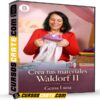Crea tus materiales Waldorf II de Gema Luna