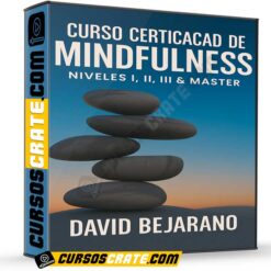 Curso Certificado de Midfulness. Niveles I, II, III & Master de David Bejarano