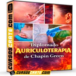 Diplomado Auriculoterapia de Chapin Green