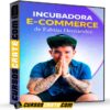 Incubadora E-commerce de Fabián Hernández