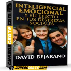 Inteligencia Emocional y su Efecto en tus Destrezas Sociales de David Bejarano