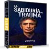 La Sabiduría del Trauma de Younity
