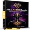 MetAMORfosis de Carlos Fernández