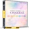 Todo Sobre tus Chakras de Mujer Holística