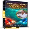 Biomagnetismo Quantico Nivel 1 de Avelino Hervas
