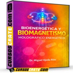 Bioenergetica y Biomagnetismo Holográfico Energético de Miguel Ojeda