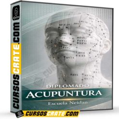 Diplomado Acupuntura de Escuela Neidan