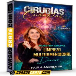 Muestra Grupal de Cirugías Cuánticas Limpieza Multidimensional Dinero de Paula Andrea Gil