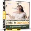 Reprograma tu Relación con el Dinero de Begoña del Campo