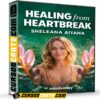 Healing From Heartbreak (En Inglés) de Sheleana Alyana – Mindvalley