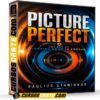 Picture Perfect (Inglés) de Paulius Staniunas Picture Perfect (Inglés) de Paulius Staniunas